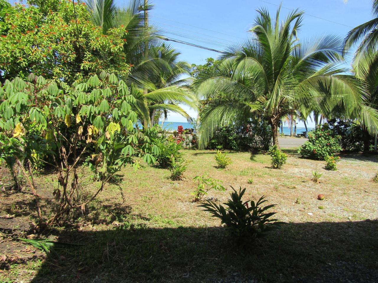 Pineapple House Manzanilloヴィラ エクステリア 写真
